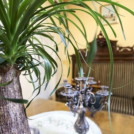 Luna Apartment Нови Сад Екстериор снимка